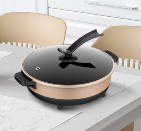 Cos'è una vaporiera elettrica?